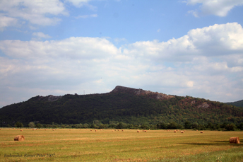 Bodvarako