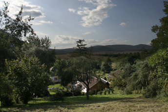 Bozsva